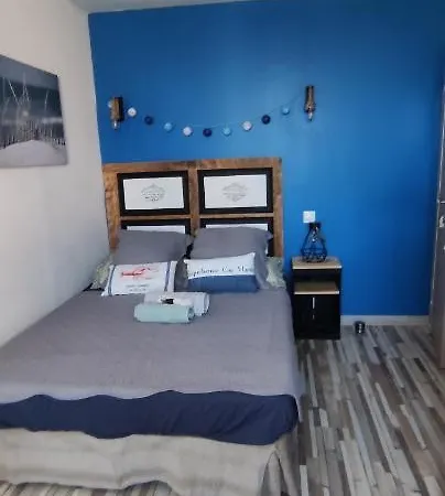 Bleues Cote Et Aeroport Climatisees Et Parking Gratuit * イエール