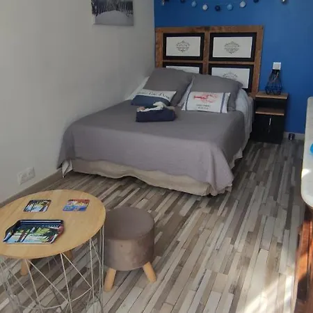 Bleues Cote Et Aeroport Climatisees Et Parking Gratuit ベッド・アンド・ブレックファスト イエール